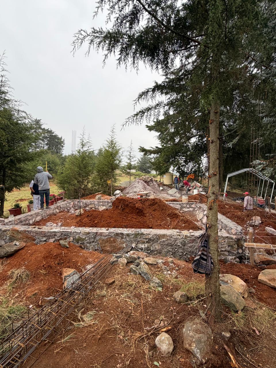 Avance Cabaña 1